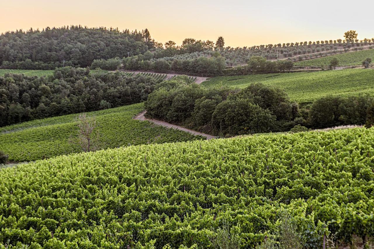 הוילה קסטלינה אין קיאנטי Agriturismo Concadoro מראה חיצוני תמונה