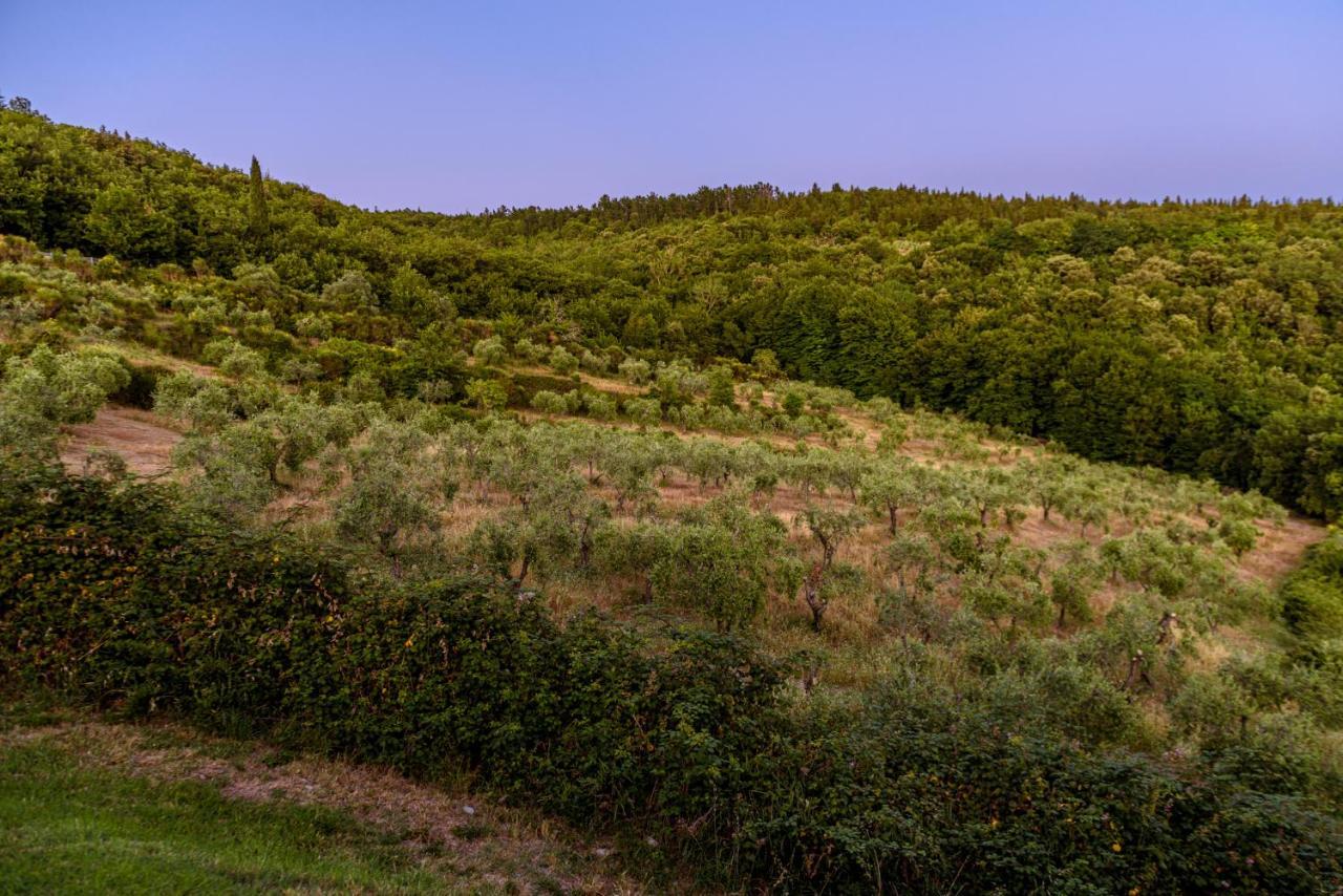 הוילה קסטלינה אין קיאנטי Agriturismo Concadoro מראה חיצוני תמונה