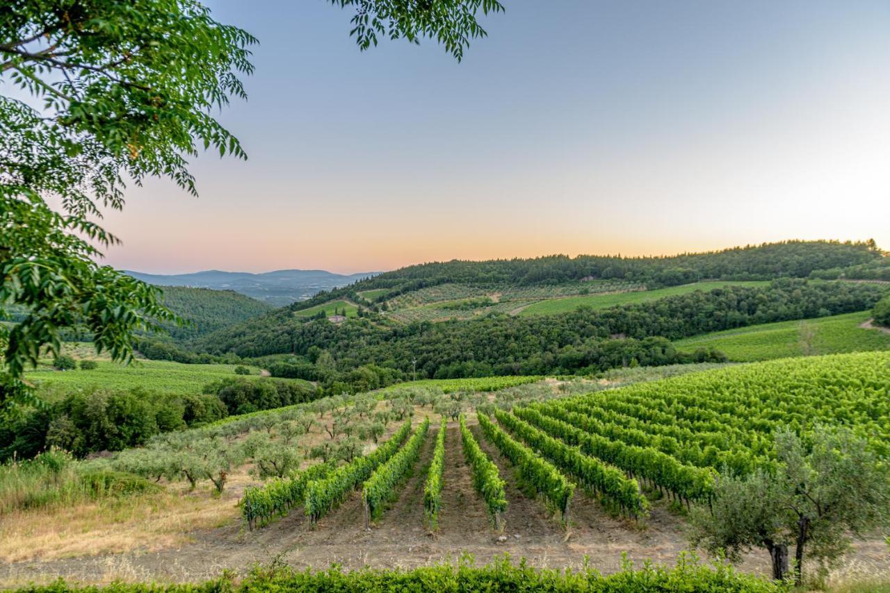 הוילה קסטלינה אין קיאנטי Agriturismo Concadoro מראה חיצוני תמונה