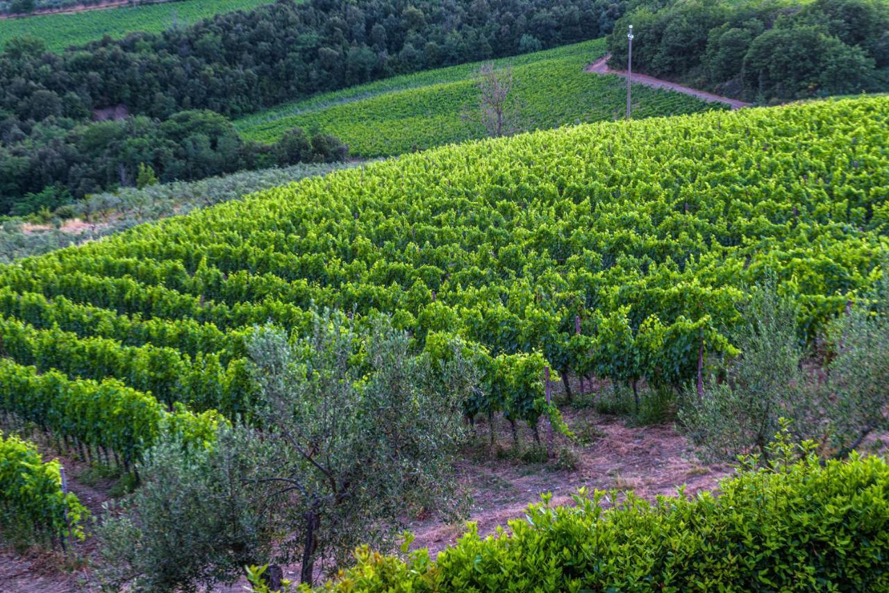 הוילה קסטלינה אין קיאנטי Agriturismo Concadoro מראה חיצוני תמונה